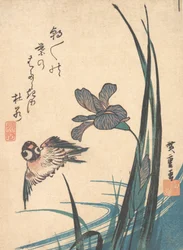 Iris et moineau, vers 1832