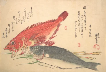 Isaki et poisson Kasago, de la série Uozukushi Chaque variété de poisson, années 1830
