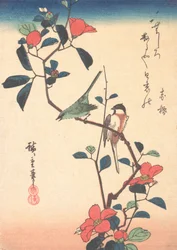 Mésange et Zostérops du Japon sur une branche de camélia, vers 1840