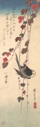 Mésange à longue queue sur du lierre automnal, vers 1835.
