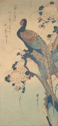 Faisan avec des chrysanthèmes, vers 1835