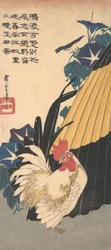 Coq, parapluie et gloires du matin, ca. 1830