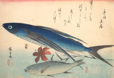 Tobiuo et poisson Ishimochi, de la série Uozukushi Chaque variété de poisson, années 1840