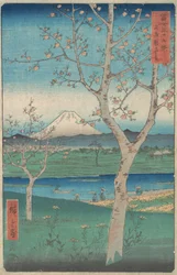 Vue du mont Fuji depuis Koshigaya, province de Musashi, 4e mois, année du Cheval 1858