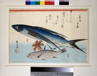Poisson volant, poisson ishimochi et lys