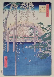 Passerelle sur la rivière avec glycine en pleine floraison au premier plan