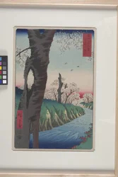 Koganei dans la province de Musashi