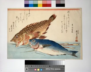 Poisson scorpion et poisson isaki au gingembre racine