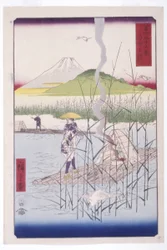 La Rivière Sagami (Sagamigawa)