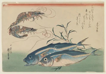 Deux crevettes avec deux maquereaux, vers 1832-33