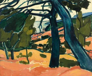 Paysage à Cassis