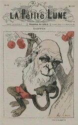 Darwin en singe sur La Petite Lune