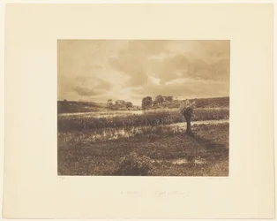 [The Ponds at Optevoz, Rhône]