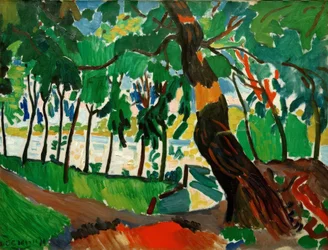 Arbre, paysage au bord d’une rivière