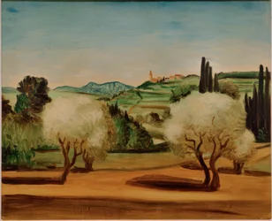 Paysage avec des oliviers