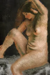 Le beau modèle