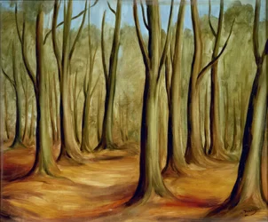 La forêt de Fonteinbleau