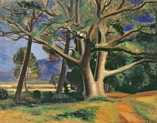 Le grand arbre, vers 1929-30 (huile sur toile) (voir aussi 287578)