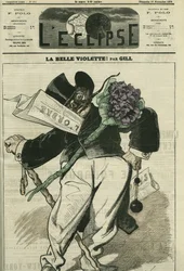 La belle violette, une illustration d