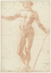 Modèle masculin nu debout