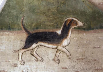 Atri, cathédrale, chien / Fresque de A.Delitio