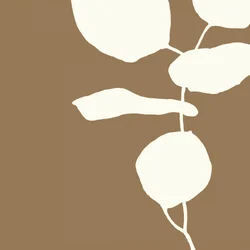 Formes botaniques minimalistes