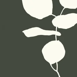 Étude de plantes sereine