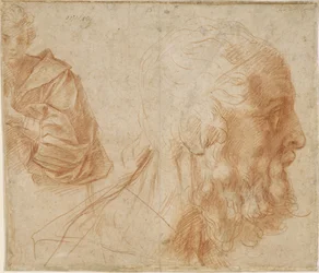 Un jeune homme et la tête d