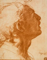 Tête masculine