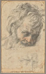 Etude pour la tête de Saint Joseph (recto) ; Deux études de jambes (verso)