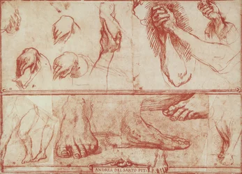 Étude de mains et de pieds pour la Cène de San Salvi