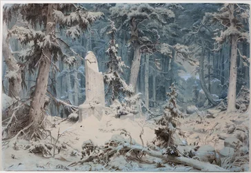 Forêt enneigée