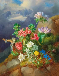 Fleurs des Alpes