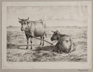 Danois : deux vaches reliées entre elles