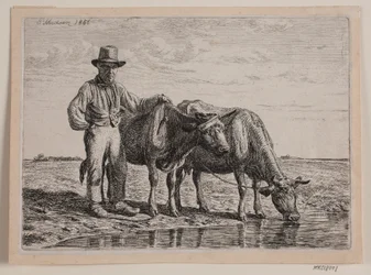 Berger avec des vaches