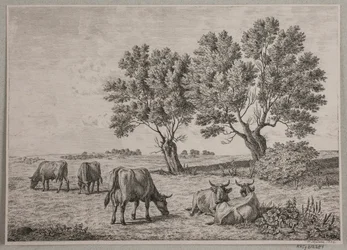 Paysage avec bétail paissant