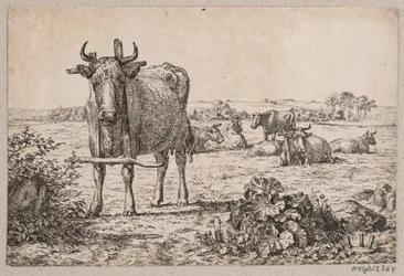 Paysage avec des vaches