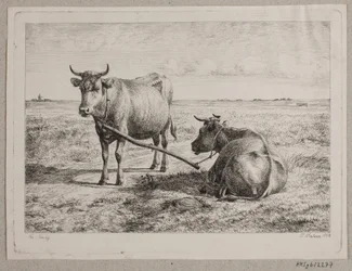 Deux vaches attachées ensemble