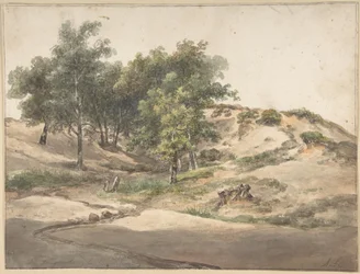 Paysage boisé près de Beekhuizen