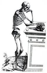 Les planches du septième livre de De Humani Corporis Fabrica