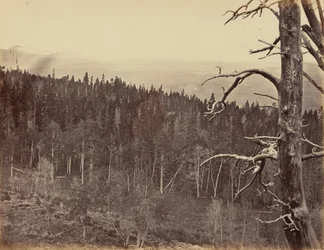 Planche 13. Ligne de neige et de bois, montagnes Laramie, 1869 (photo)
