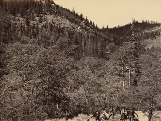 Planche 19. Parmi les arbres à la tête de la rivière Little Laramie, 1869 (photo)