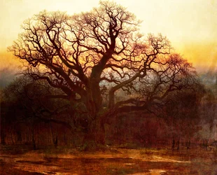 Major Oak, forêt de Sherwood, Nottinghamshire, 1882