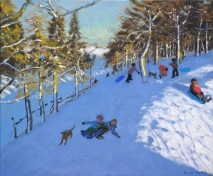 Famille en luge, Youlgreave, Derbyshire, 2016