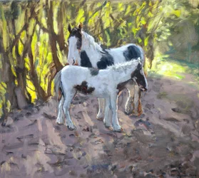 Jument et poulain, 2011