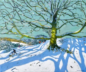 Arbre mère, Idridgehay, Belper, 2022
