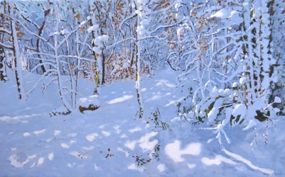 Neige de novembre, Allestree Woods, Derby
