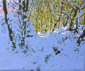 Chemin à travers les bois en hiver, Derbyshire
