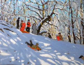 Luge, 2010