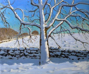 Arbre couvert de neige, 2011